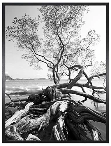 MCS 30x40 inch Art Shadow Box Frame, Black (47631)