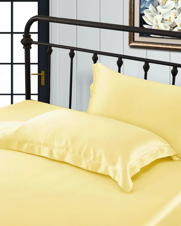 LILYSILK 19 Momme Mulberry Silk Pillowcase for Hair Queen(20x22 x 30x22) Lily醬rea? Undyed Natural Golden Oxford Skin Friendly