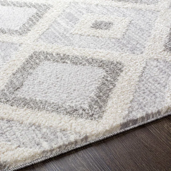 Valencia (Vlc-2312), 6& 7x22 x 9& Rug