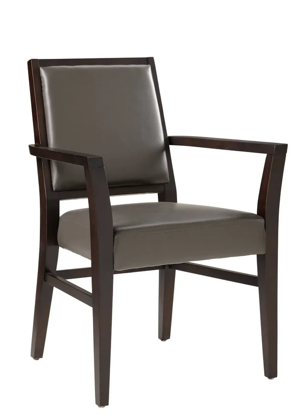 Sunpan Citizen Armchair - Grey