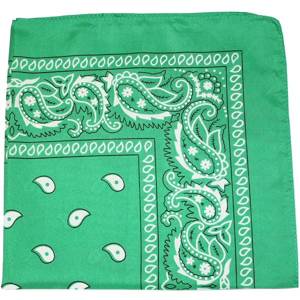Set of 240 Mechaly Unisex Paisley 100% Polyester Double Sided Bandanas - Bulk Wholesale, Green