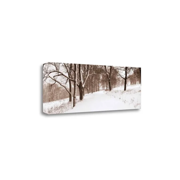 Tangletown Fine Art First Snow I by Mike Sleeper, Giclee Print on Gallery Wrap Canvas, 39x22x13x22
