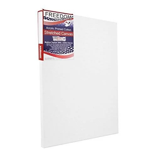 U.S. Art Supply 20 x 24 inch Stretched Canvas 12-Ounce Primed 6-Pack - Professio