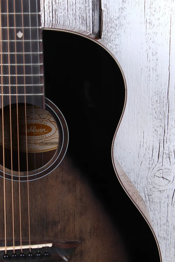 Washburn Bella Tono Novo S9 Charcoal Burst