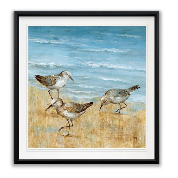 Sandpipers II -Framed Giclee Print - 24x24