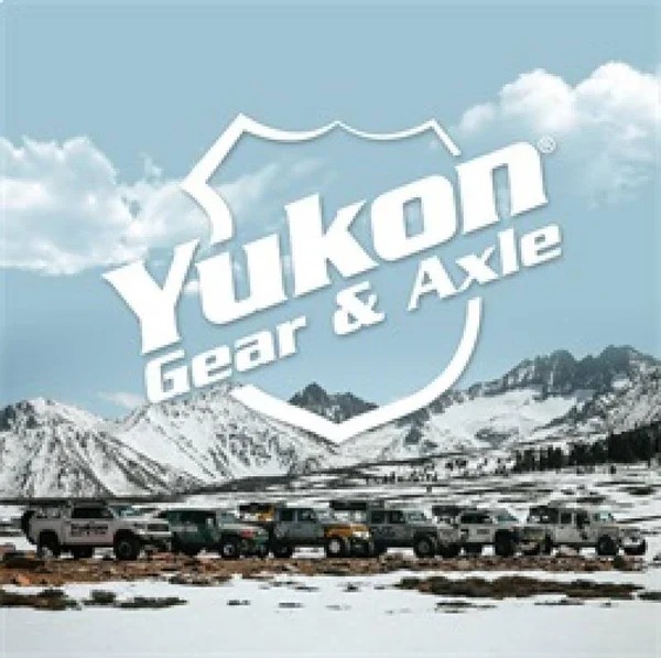 Yukon (YK C9.25-F) Master Overhaul Kit for Dodge Truck/Chrysler 9.25x22 Front DIFFERENTIAL