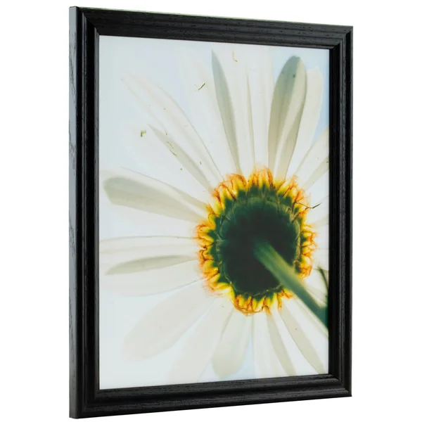 Craig Frames Wiltshire 200 - Traditional Black Hardwood Picture Frame, 22 x 27 inch