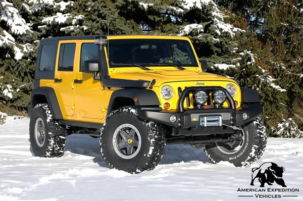 AEV Heat Reduction Hood w/Black Mesh