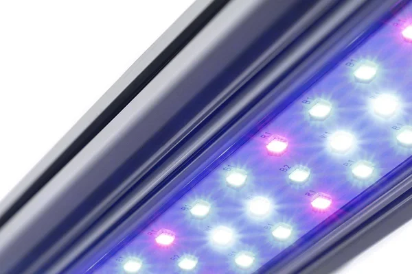 Kind LED x Series X40/X80 Bar Grow Light - 2 ft., Flower
