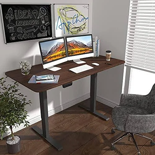 HOUSEELF Dual Motor Electric Standing Desk - 55 x 28 Inches Height Adjustable Sit Stand Computer Desk with 3 Stage Legs - Stand W