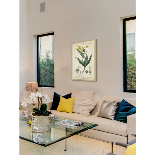 Marmont Hill Inc Botanique Study in Yellow III' Framed Painting Print - 16 x 24