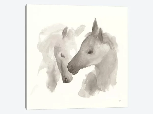 Chris Paschke Canvas Wall Decor Art Prints - Nuzzling I ( Animal Art > Farm Animals > Horses art)