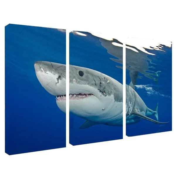 Ready2HangArt Chris Doherty &Shark& Canvas Art 3-Piece Set