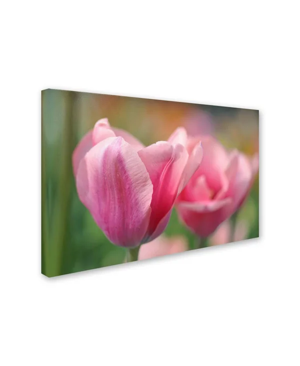 Trademark Art Tulip Flower Pink Mirella' Gallery-Wrapped Canvas Art