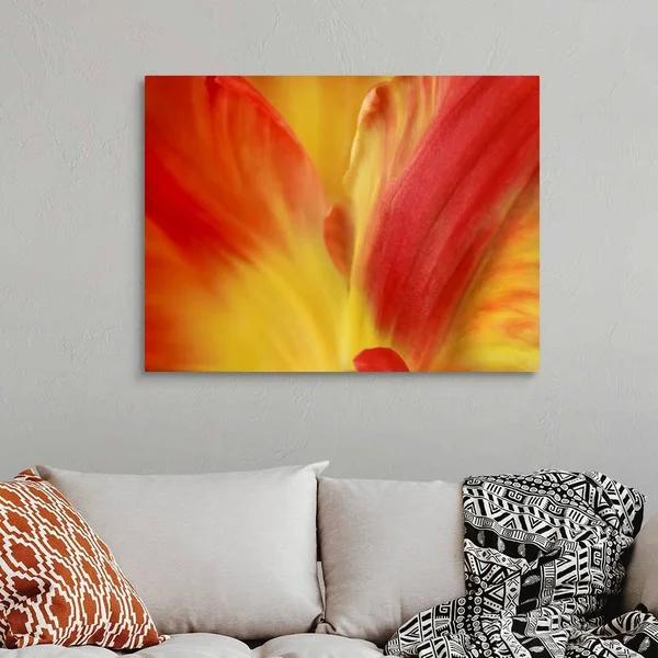Tulipa - Canvas Wall Art, 40x30, Great Big Canvas
