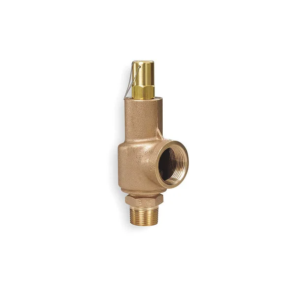 Aquatrol 89B2-250 Safety Relief Valve, 3/4 x 1 In, 250 PSI