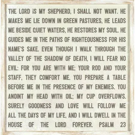 Winston Porter Framed Psalm 23 Wood Wall D cor - Black