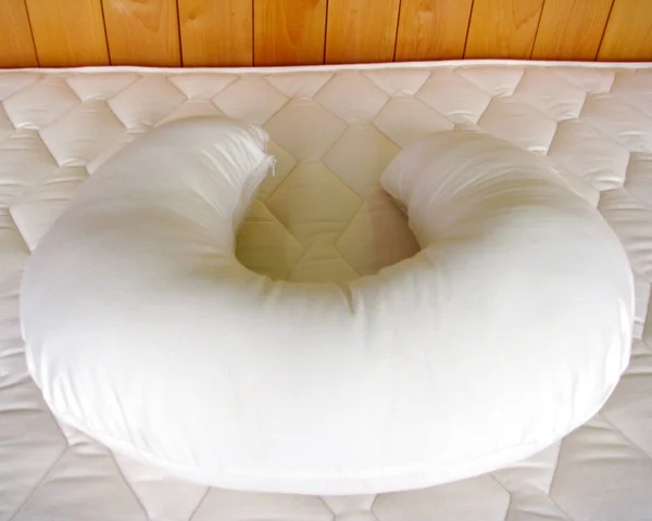 Holy Lamb Organics Holy Lamb Organic Cotton & Natural Wool U Shaped Nursing Pillow 19x22 x 23x22