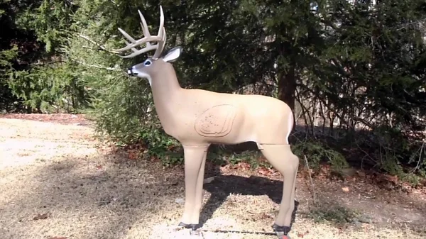 Shooter 72000 Big Buck 3D Target