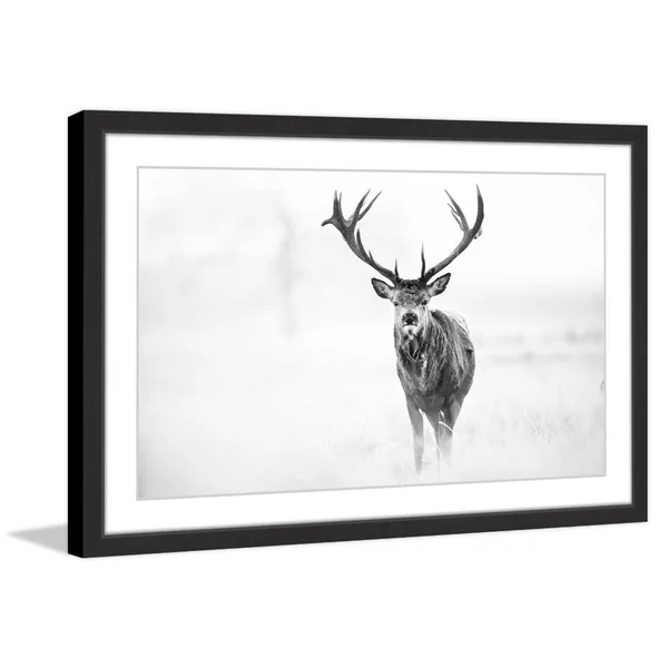 Elk Stare Framed Painting Print, Size: 16 inch x 24 inch, Black