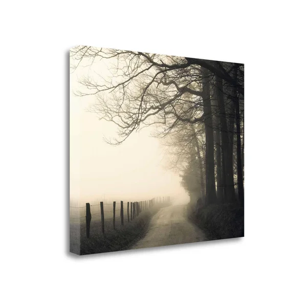 Tangletown Fine Art Hyatt Lane by Nicholas Bell - Fine Art Giclee Print on Wrap Canvas, 32x26x22