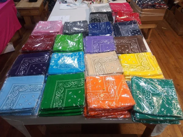 Flags by The Dozen Assorted Bandana Paisley Head Wrap in Various Colors 100% Cotton 22x22x22x22 12 Watermelon Pink
