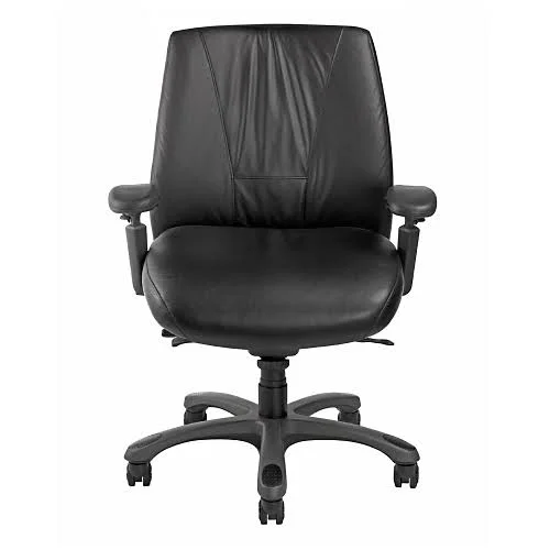 NBF Fabric Ergonomic Chair with Graphite Frame Apple Fabric//Graphite Base Signature Series (NBF7700F11)