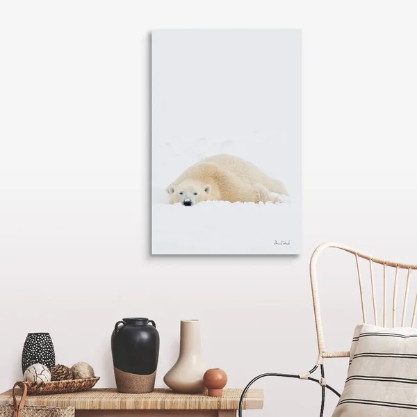 Polar Bear Cooling Off After Wrestling Match - Canvas Wall Art, 24x36, Great Big Canvas