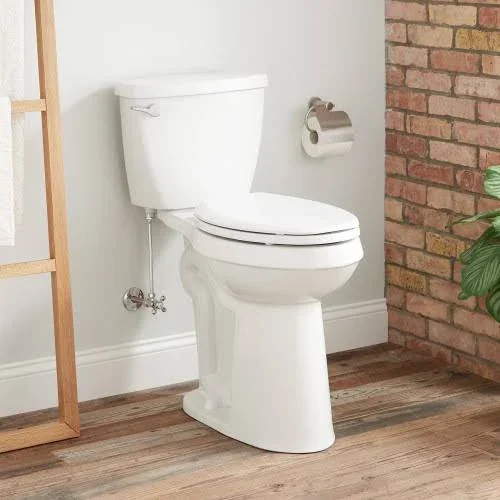 Bradenton Elongated Two-Piece Toilet in 21x22 Bowl Height in White in No Seat - Porcelain, Signature Hardware 462383
