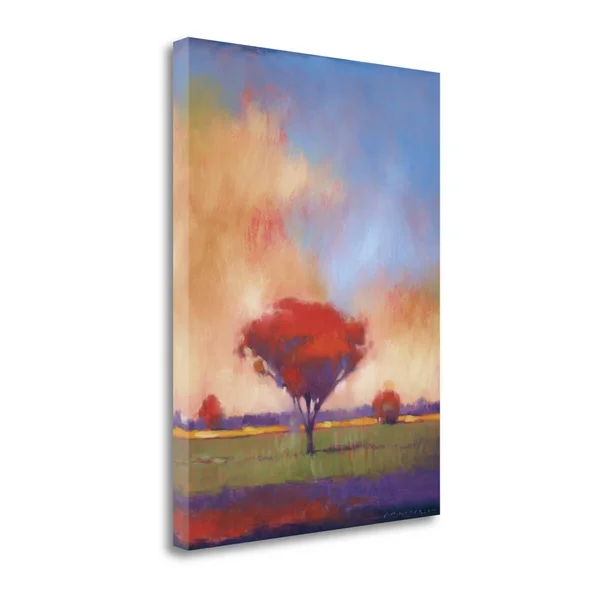 Tangletown Fine Art Where Ever You Go by Paul Anderson - Giclee Print on Wrap Canvas, 21x22x29x22