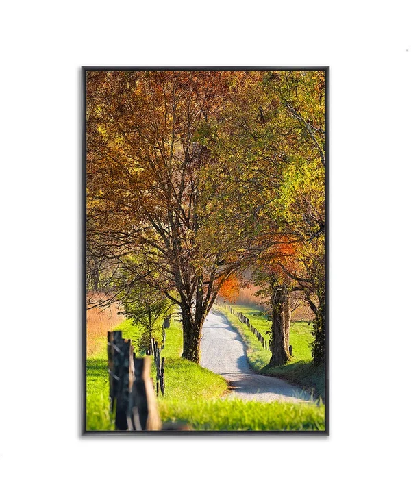 Tangletown Fine Art 59x22 x 40x22 Country Road I Fine Art Giclee Print