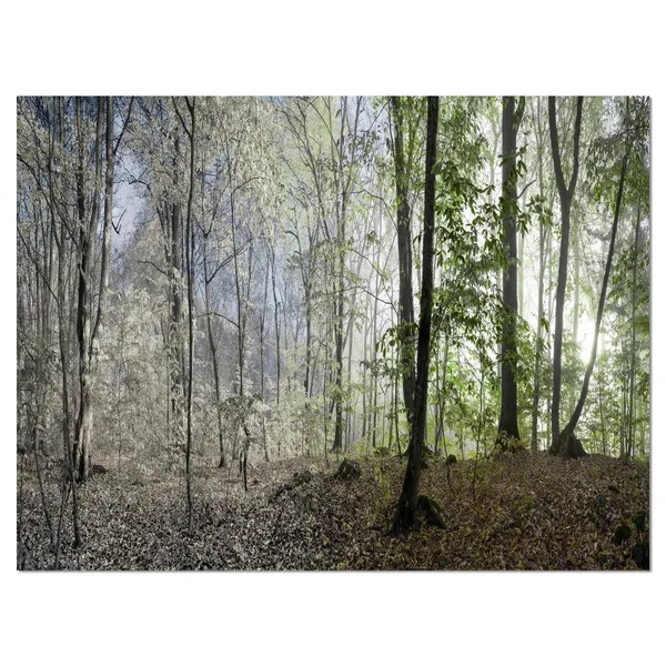 Designart &Green Morning in Forest Panorama& Landscape Large Canvas Art Print - Green - 40 in. Wide x 30 in. High
