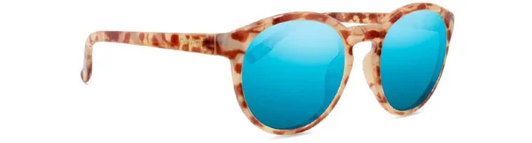 Traveller Black Frame - Gold Lens