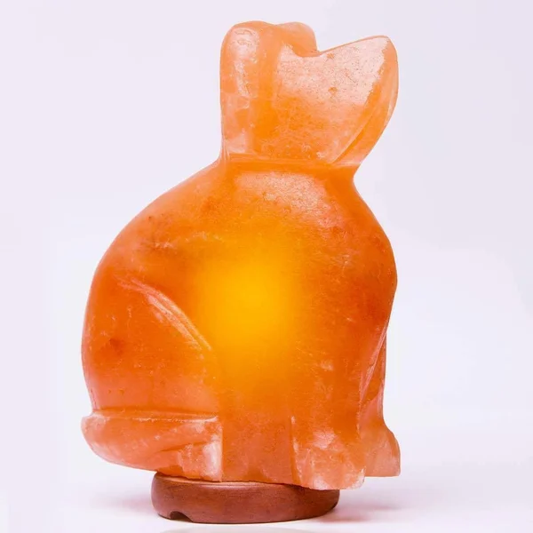 Dog Himalayan Salt Rock Lamp (6-8 lbs) for Healing - Hymilain Sea, Pink Crystal