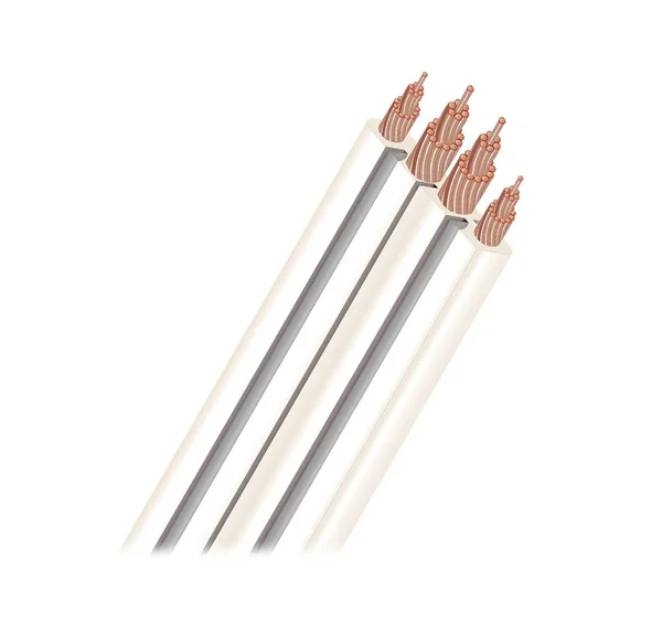 AudioQuest CinemaQuest G2 - Speaker cable - Off white - 100 ft - Bare wire to Bare wire
