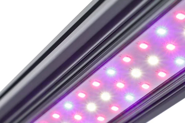 Kind LED x Series X40/X80 Bar Grow Light - 2 ft., Flower