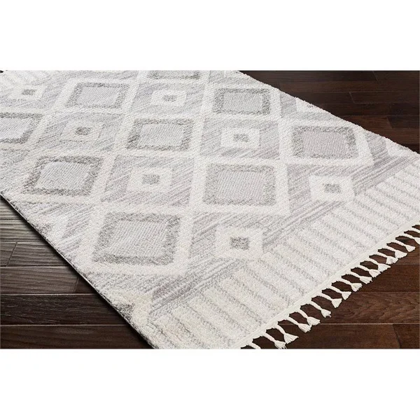Valencia (Vlc-2312), 6& 7x22 x 9& Rug
