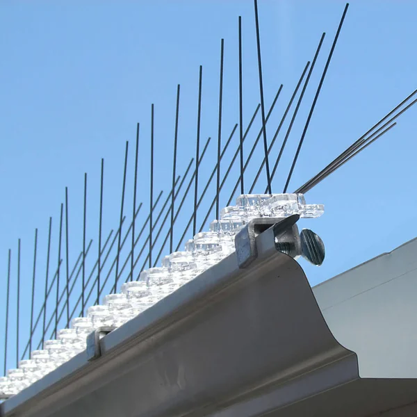 Bird B Gone - Stainless Steel Gutter Bird Spikes, 50 ft