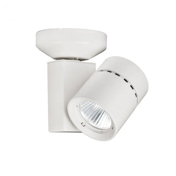 1023 Exterminator II Monopoint by WAC Lighting, Brushed Nickel, MO-1023F-840-BN