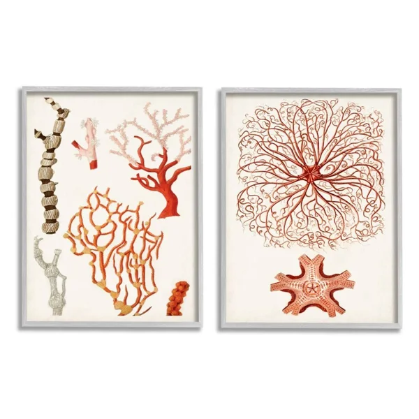 Collage of Unique Ocean Coral Red Brown - 2 Piece Graphic Art Print Set Stupell Industries Format: Gray Framed, Size: 14x22 H x