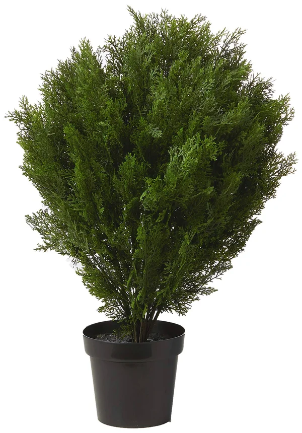 Nearly Natural 3& Cedar Indoor/Outdoor Artificial Bush - Green