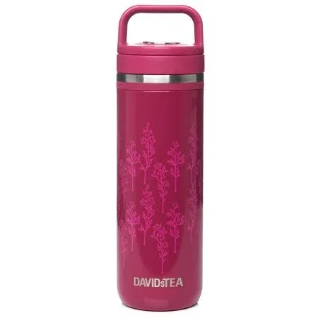 DAVIDsTEA - Wildflower Stainless Steel Matcha Maker - Travel Mug Infuser - 16 oz, 473 ml