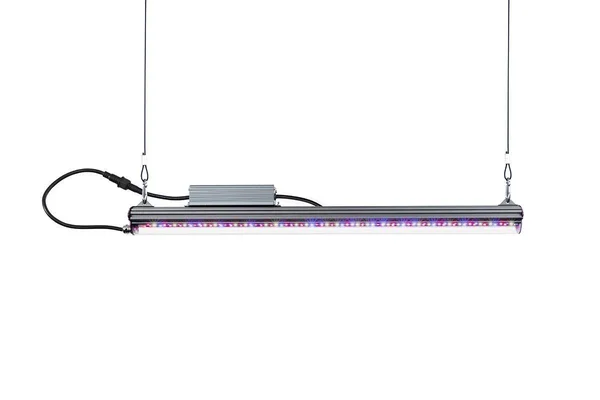 Kind LED x Series X40/X80 Bar Grow Light - 2 ft., Flower
