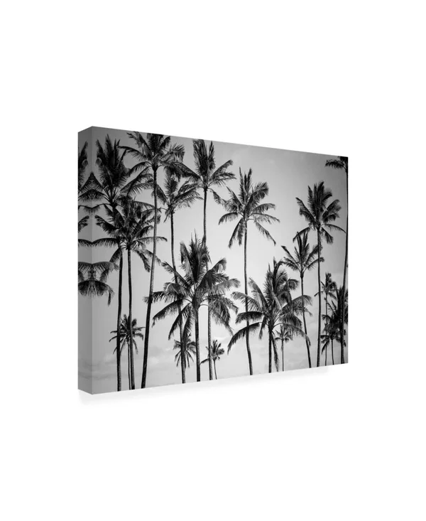 Trademark Fine Art Ic01177-C3547Gg Design Fabrikken 'Palm Heaven Fabri