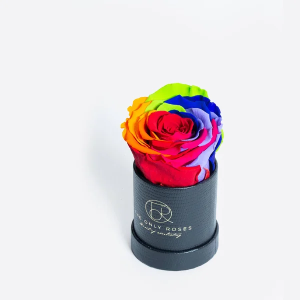 Single Rainbow Everlasting Preserved Rose in Leather Petite Round Shaped Rose Box - Rose Hat Box, Preserved Rose, Forever Roses, E