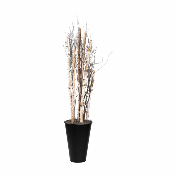 Du0026w Silks Birch (Brown) Poles and Birch Tree Tops in Tall Round Metal Planter