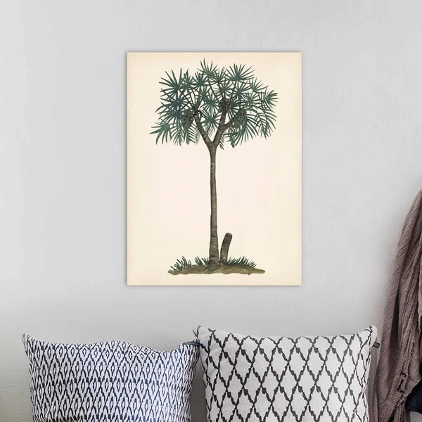 Palm Tree Study III - Canvas Wall Art, 18x24, Great Big Canvas