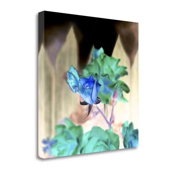 Tangletown Fine Art Floral Color, 7x22 by Alan Blaustein, Giclee Print on Wrap Canvas, 30x22x30x22