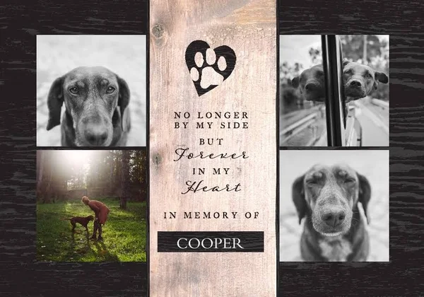 Pet Framed Canvas Print, Chocolate, 20x30, Home D閏or - The Good Pet
