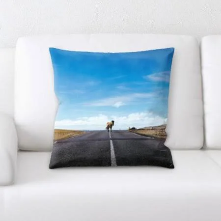 Latitude Run Jauss A Road to Many places Throw Pillow - Blue